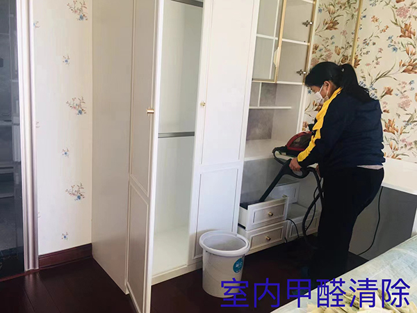 室内甲醛清除